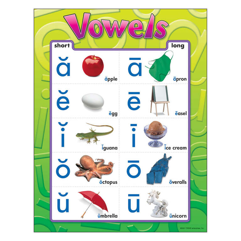 T38032-1-Learning-Chart-Vowels_1000x1000.jpg