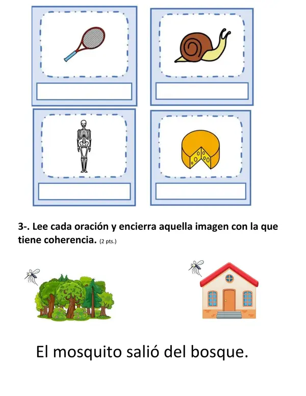 evaluación letra C Q