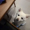 suni ahn - @suni.ahn