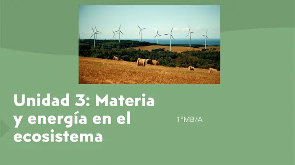 Unidad 3: Biología materia y energía en ecosistema 1°Medio 