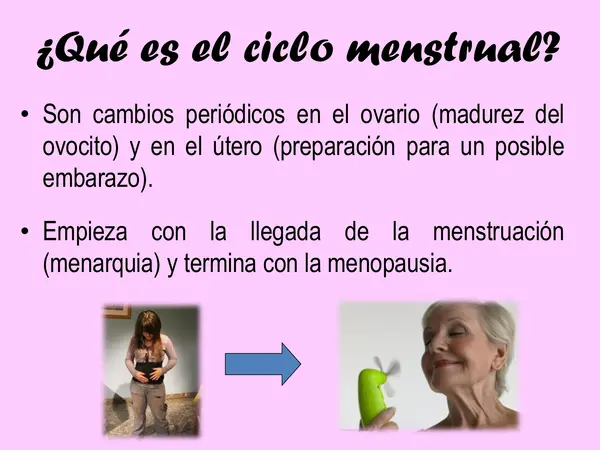 PPT - Ciclo menstrual y embarazo 