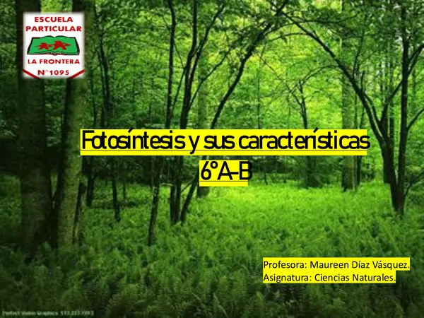 Fotosíntesis 