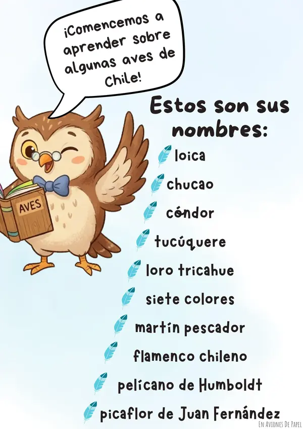 Ilustraciones coloreables Aves de Chile