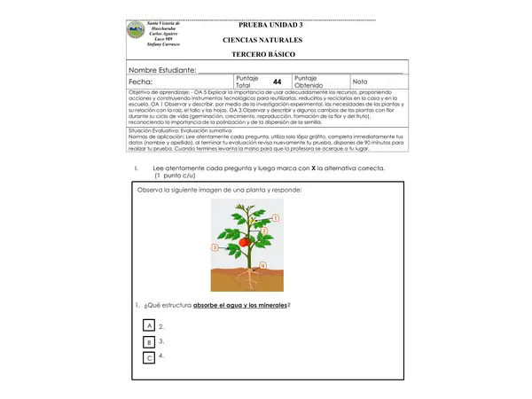 Prueba ciencias naturales