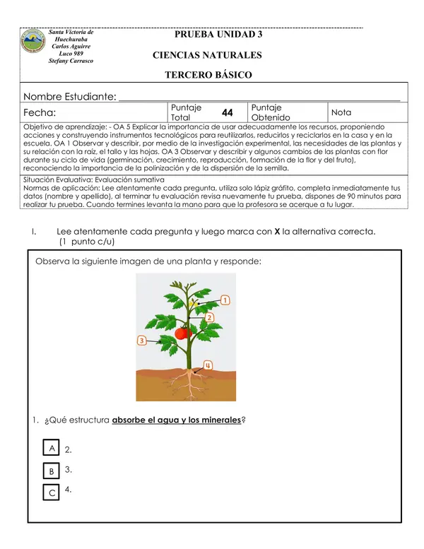 Prueba ciencias naturales