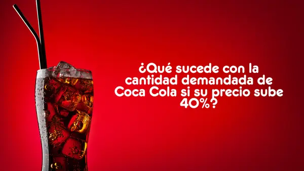 Concepto de Elasticidad | Economía y Sociedad