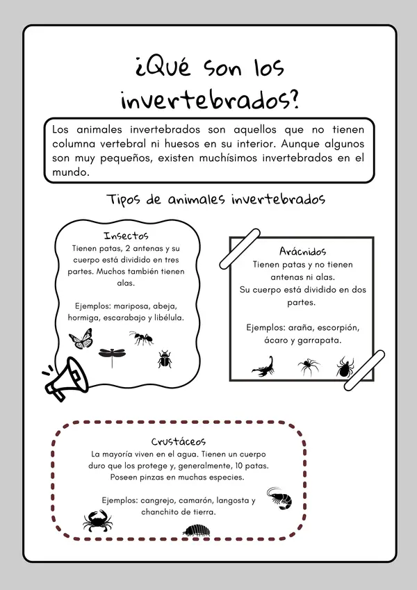 Invertebrados