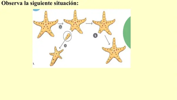 Potencias y propiedades