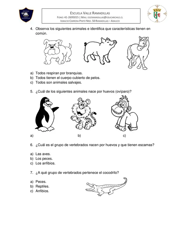 Evaluación Ciencias Naturales Vertebrados e invertebrados