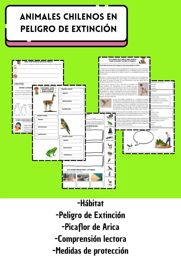 Animales en Peligro de Extinción Fauna chilena | 2° - 6° Básico | Ciencias Naturales