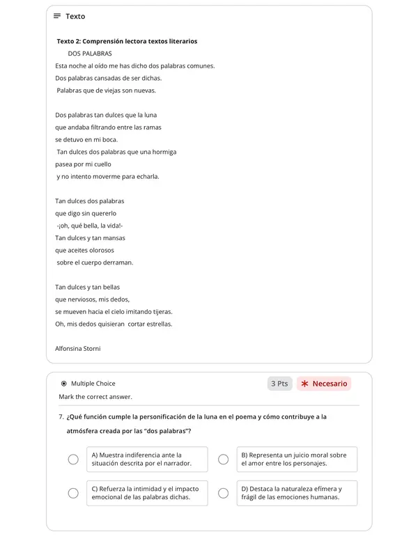 Ensayo exámenes libres 3° Medio Lengua y Literatura