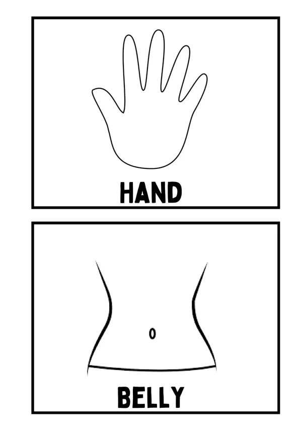 Body parts flashcards