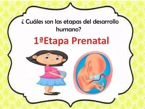 ciclo de vida