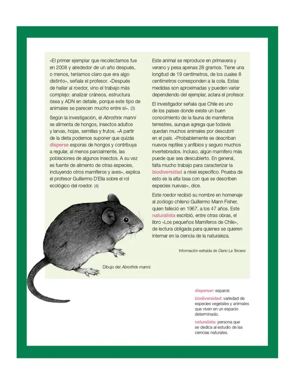 Comprensión lectora: Noticia - Descubren nueva especie en bosque valdiviano
