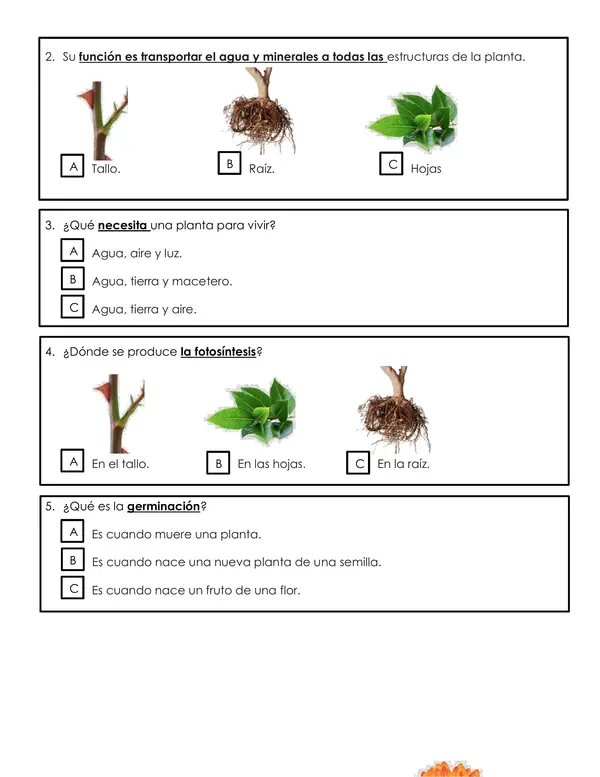 Prueba ciencias naturales