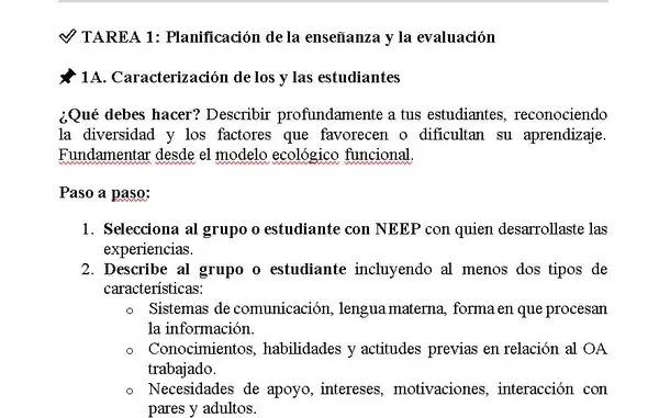 Guía completa portafolio NEEP 