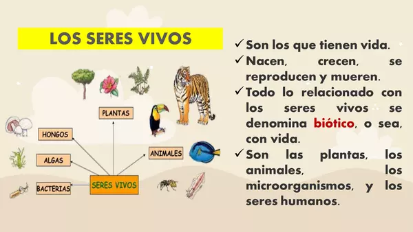 ppt los seres vivos y su ambiente cs naturales - 4° Básico. | profe.social