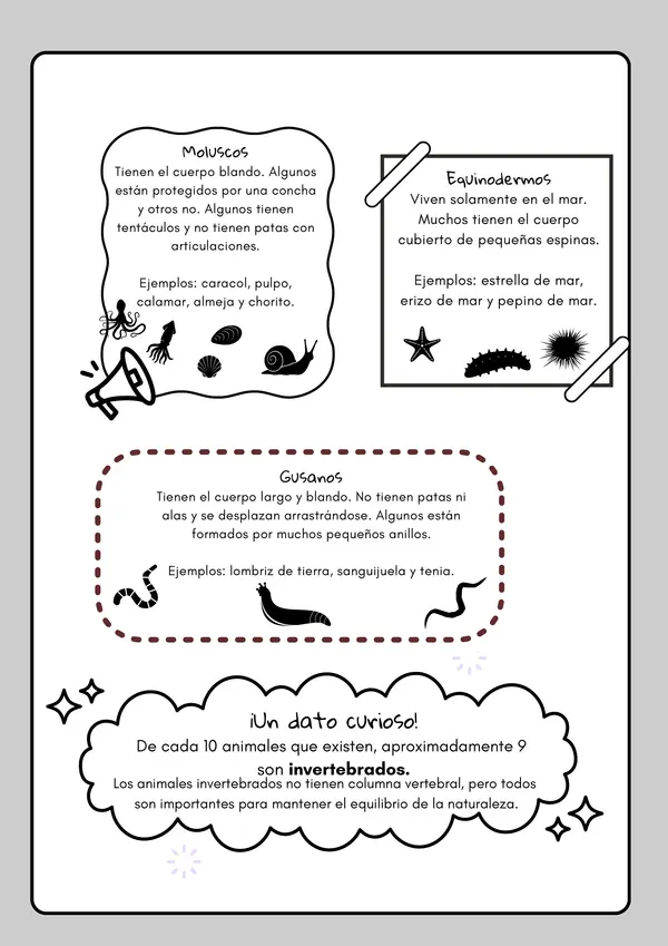 Invertebrados