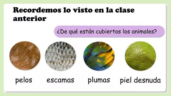 Cómo se desplazan los animales