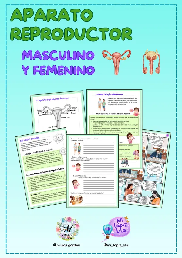 Unidad Didáctica: Aparato Reproductor Masculino y Femenino, Pubertad y Ciclo Men