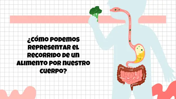 Sistema digestivo y circulatorio