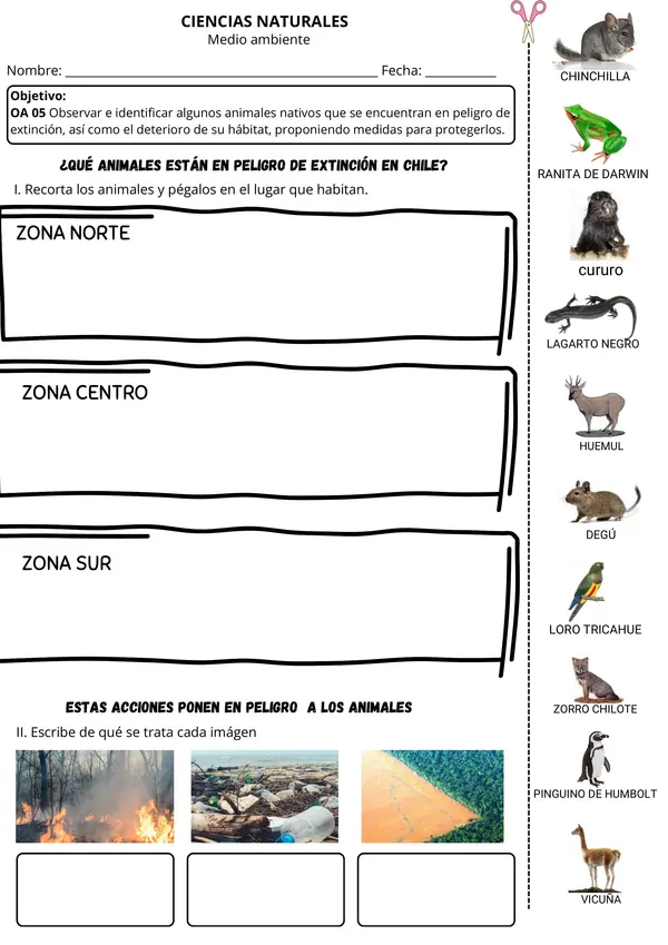 Animales en Peligro de Extinción Fauna chilena | 2° - 6° Básico | Ciencias Naturales