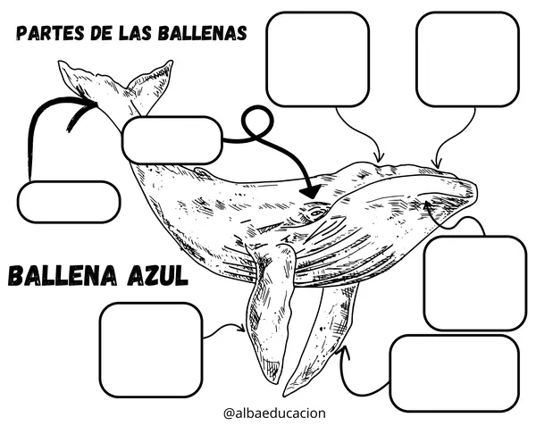 libreta interactiva la ballena azul