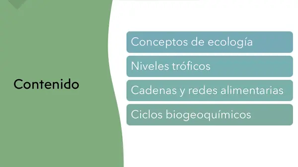 Unidad 3: Biología materia y energía en ecosistema 1°Medio 