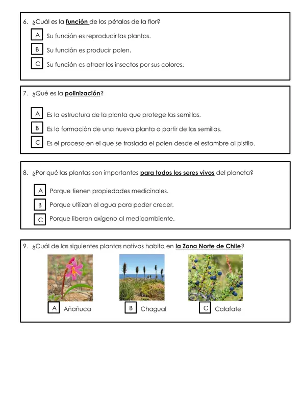 Prueba ciencias naturales