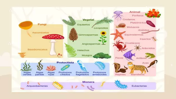 ppt los seres vivos y su ambiente cs naturales - 4° Básico. | profe.social