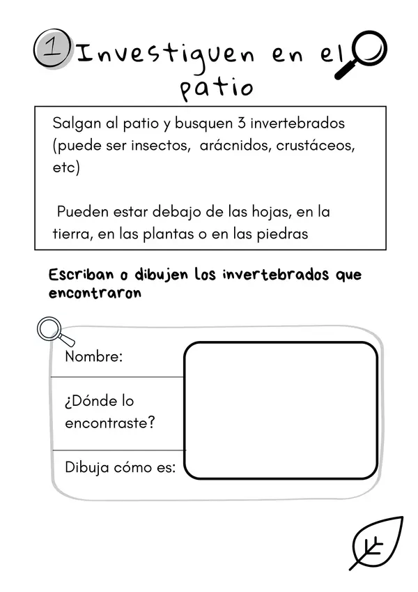 Invertebrados