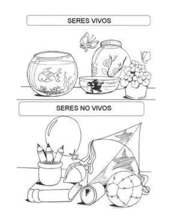 GUIAS DE CIENCIAS NATURALES 