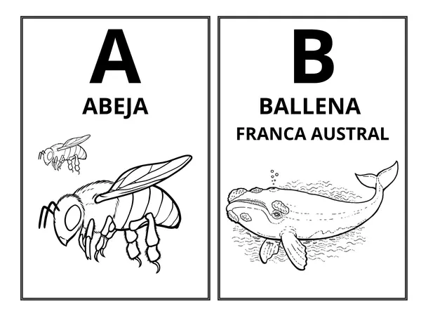 Abecedario animales argentinos