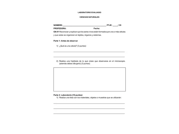 LABORATORIO EVALUADO