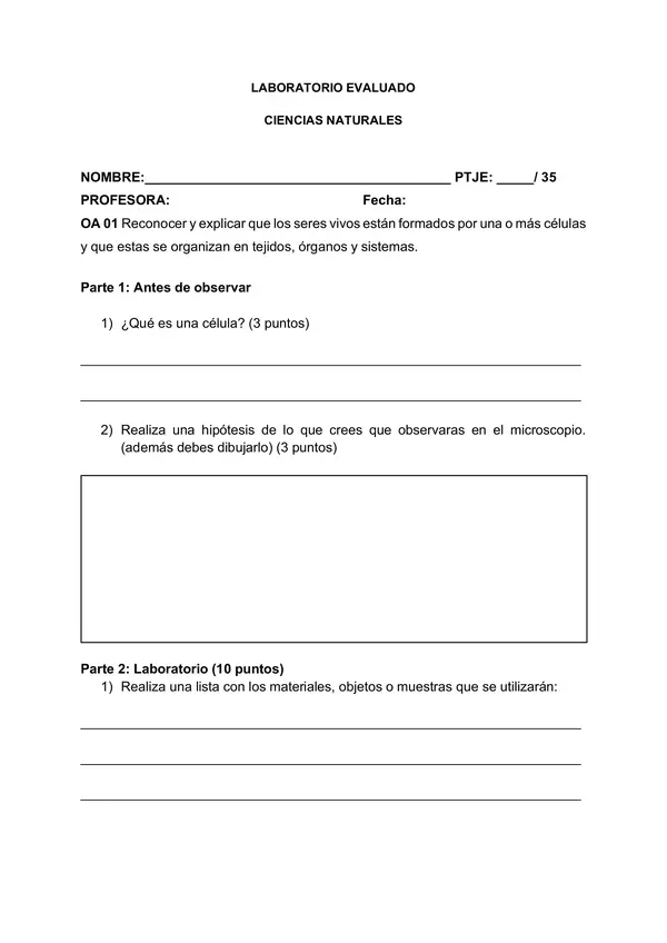 LABORATORIO EVALUADO
