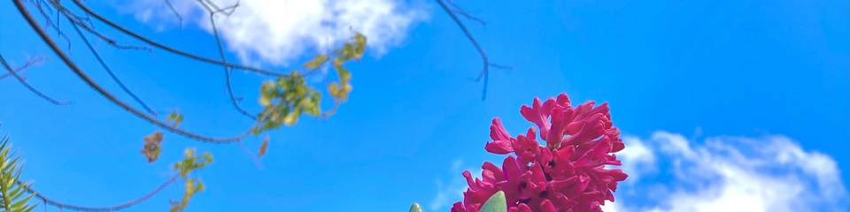 Camila González - @camisolg cover photo