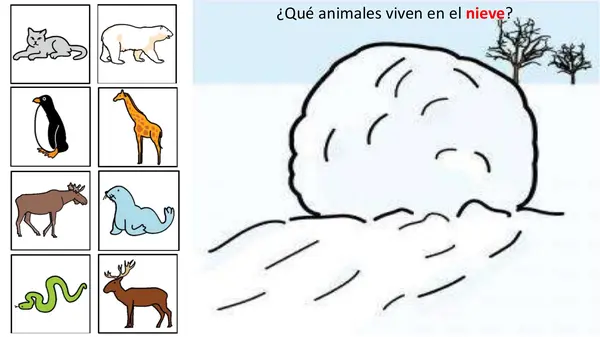 Animales