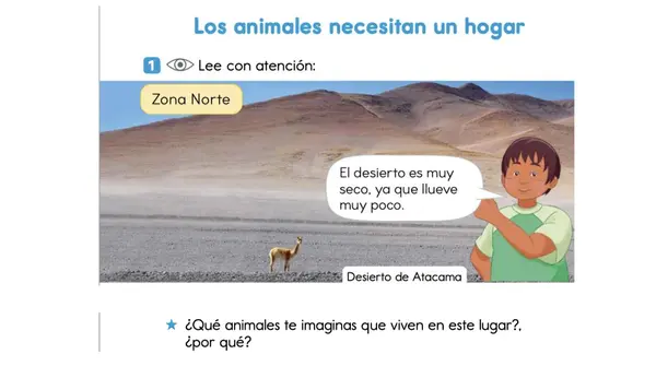 Clase 11 Lección 3 Unidad 2 "Los animales necesitan un hogar" 2° Básico