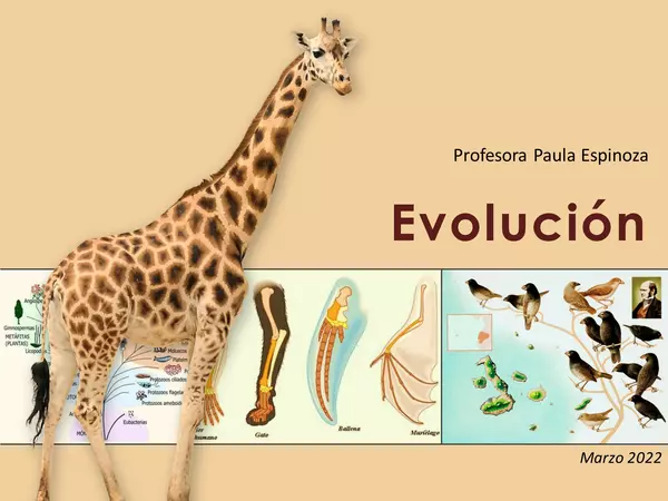 Evolución según Lamarck y Darwin