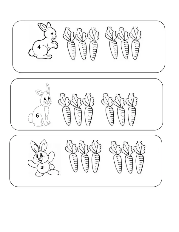 Conejo Pascua y las matemáticas 