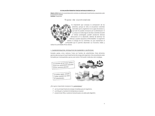 Guía octavo básico nutrientes