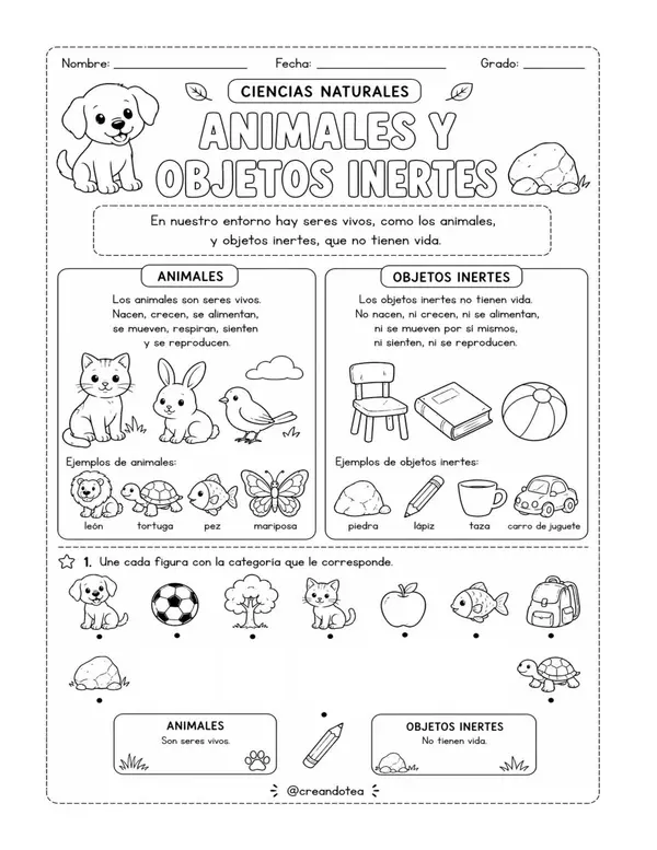Guía ciencias naturales los animales e inertes, necesidades y hábitat acuático y terrestre