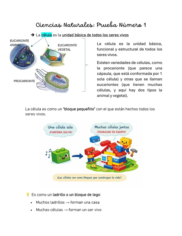 Resumen de preparación 6to Básico Unidad Ciencias Naturales 