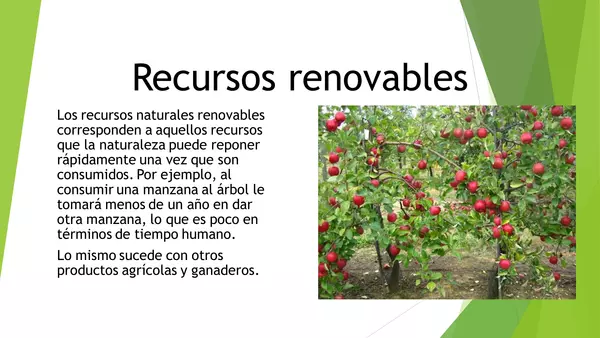 PRESENTACION RECURSOS NATURALES DE CHILE, QUINTO BASICO