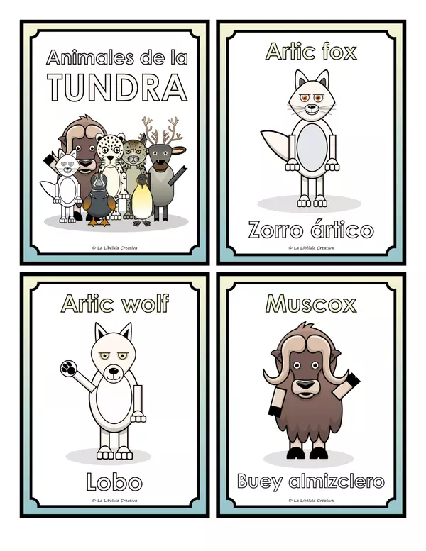 Flash Cards The Tundra Artic Antartic Animals Cut Color BW Bilingual 
