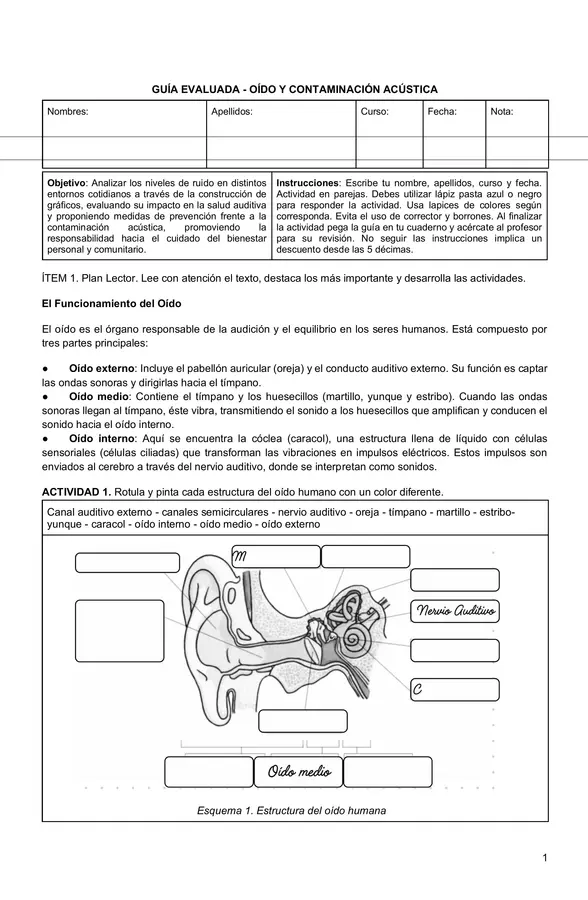 Guía Evaluada: El Oído y la Contaminación Acústica