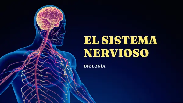 Presentación: El Sistema Nervioso explicado paso a paso