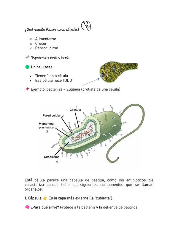 Resumen de preparación 6to Básico Unidad Ciencias Naturales 