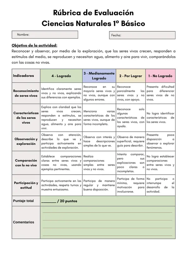 Rúbricas de Evaluación – 1° Básico (Objetivos Priorizados)