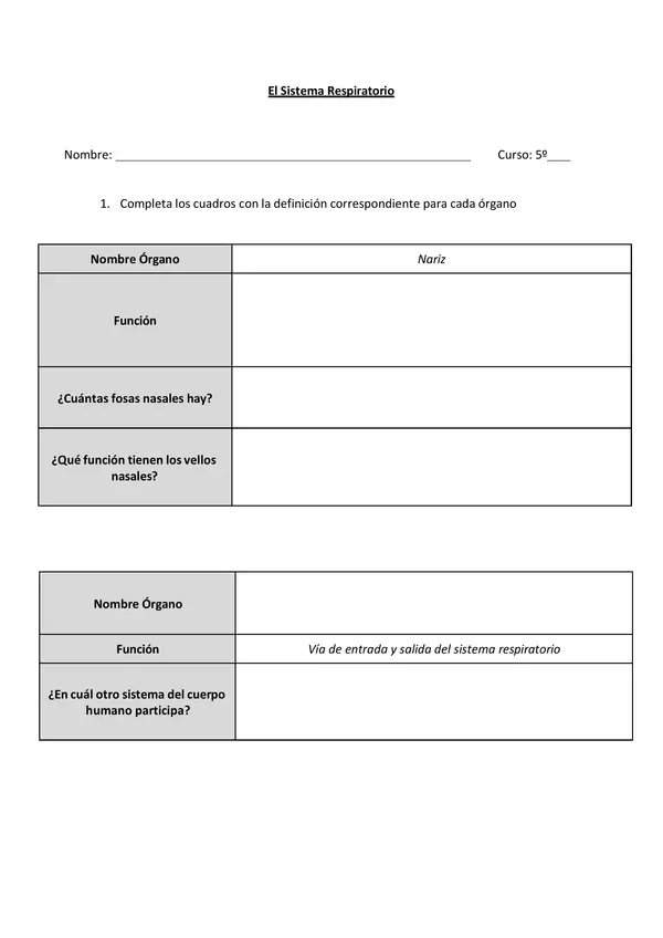 Practica guiada: Procesos del sistema respiratorio